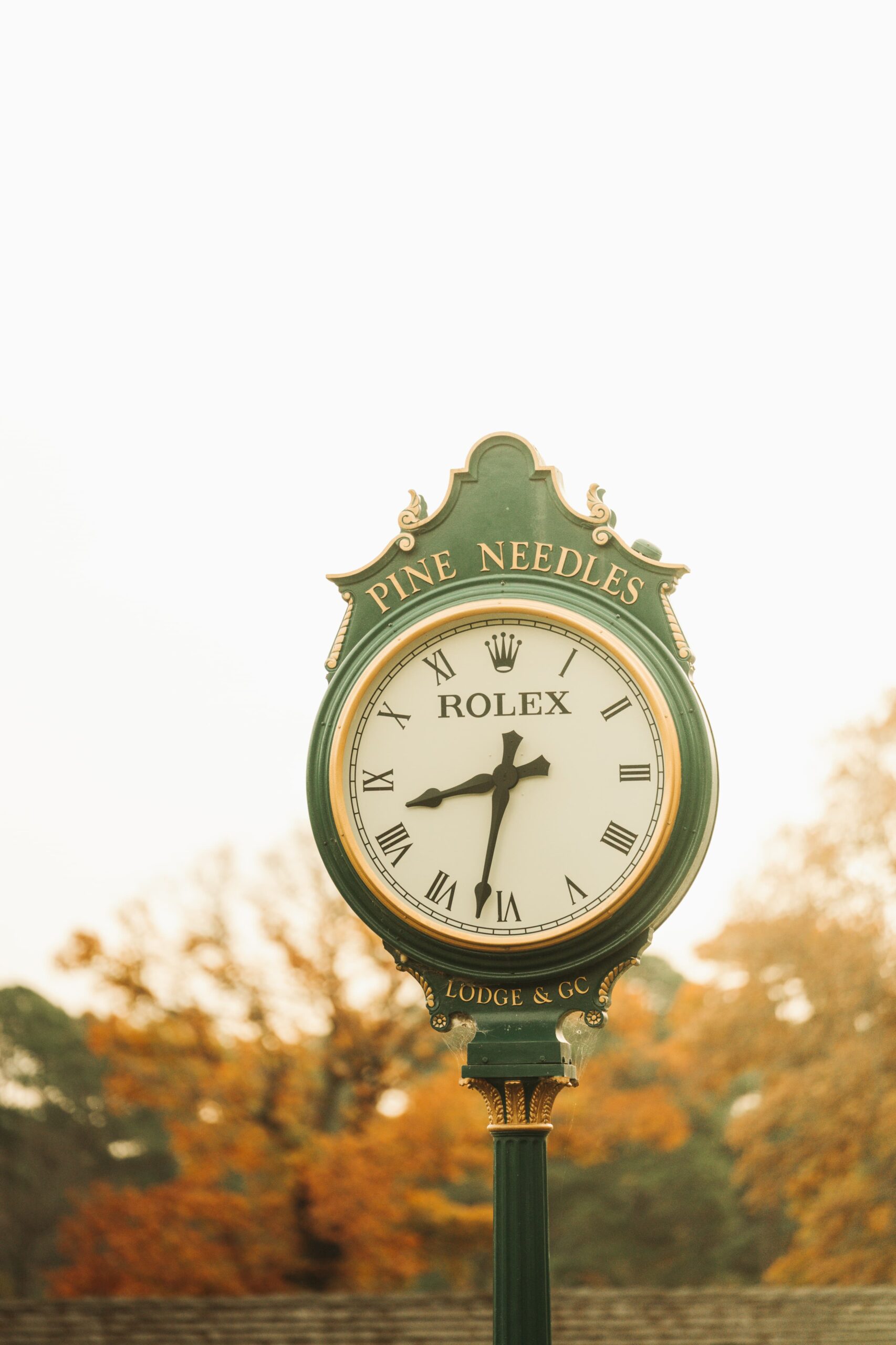 A green antique-style clock with a round white face displaying Roman numerals. The clock reads "Pine Needles" at the top and features the Rolex logo. The background shows soft autumn foliage, creating a serene setting.