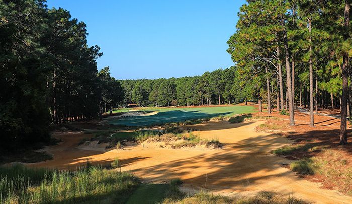 A golf course landscape features sand traps and a lush green fairway surrounded by tall pine trees. Bright blue sky overhead complements the serene setting, creating a peaceful environment for golfing.